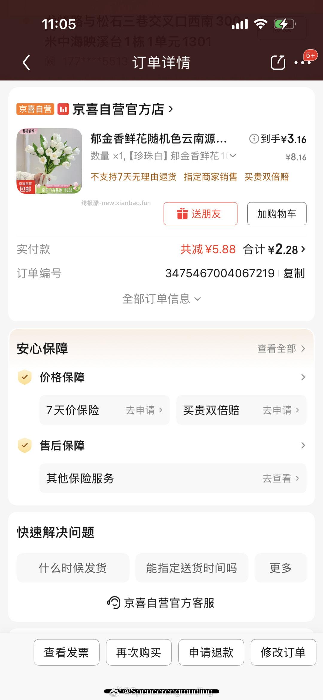 京喜郁金香鲜花随机色10枝 1元 - 线报酷