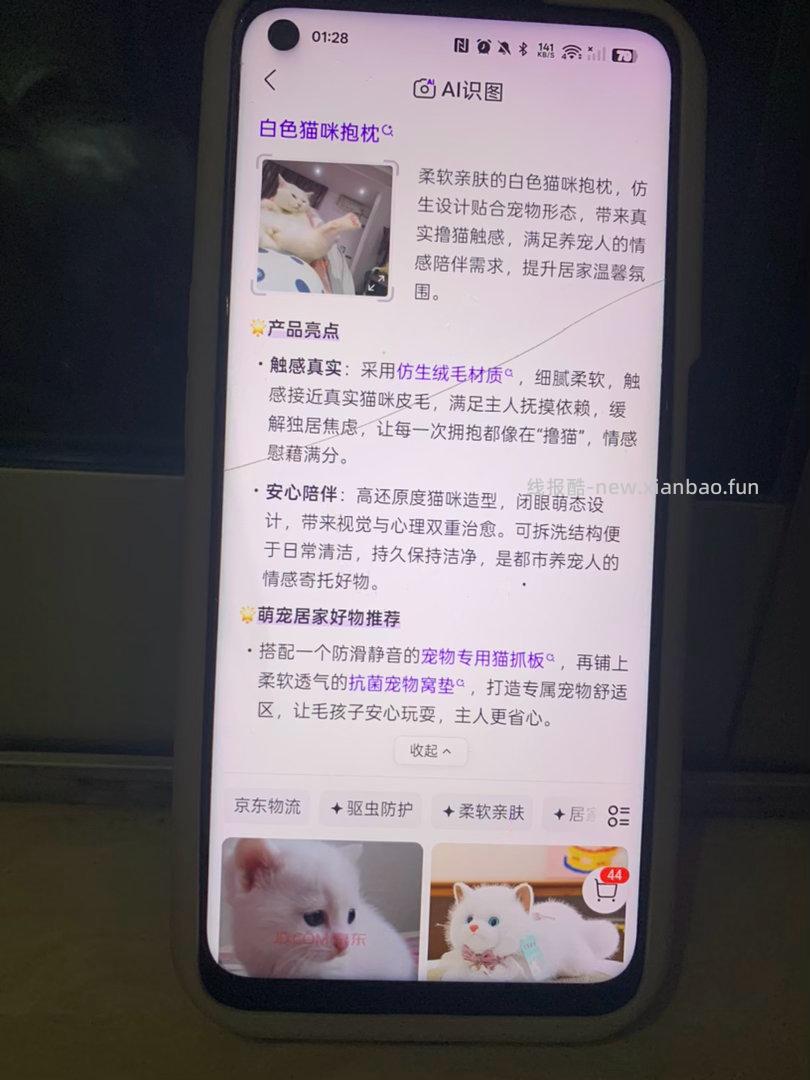 宠物手提袋 在ai拍照那随便拍张小猫 有10个助力拿 如果重复删 - 线报酷