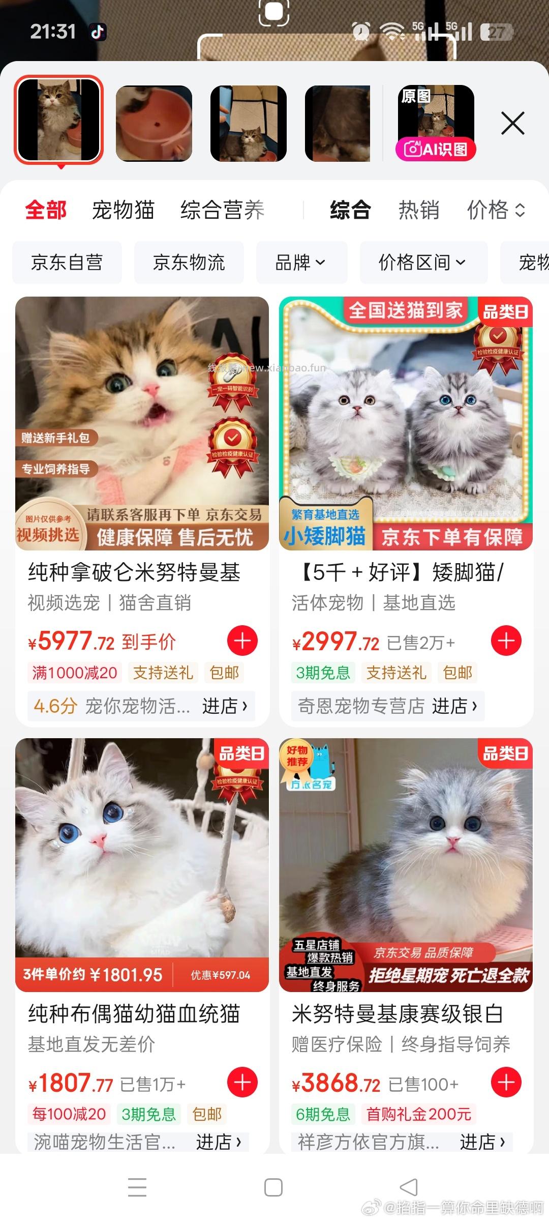 jd拍照那里 拍宠物 邀5个人可以领宠物包 刚刚05还有 不知道质量怎么样 - 线报酷