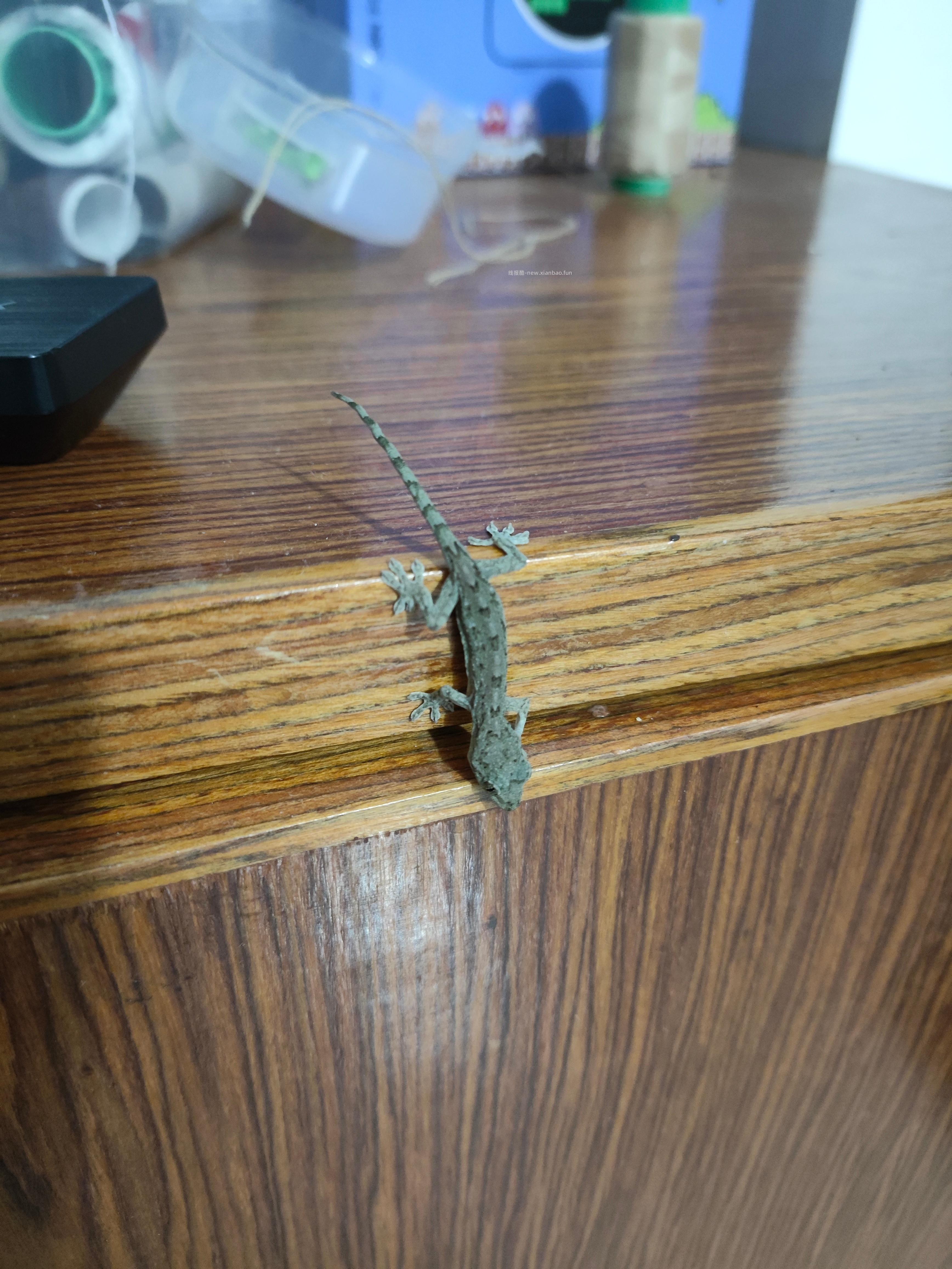 禁恋爱纠纷和线上问诊 2026.3.19号 - 线报酷