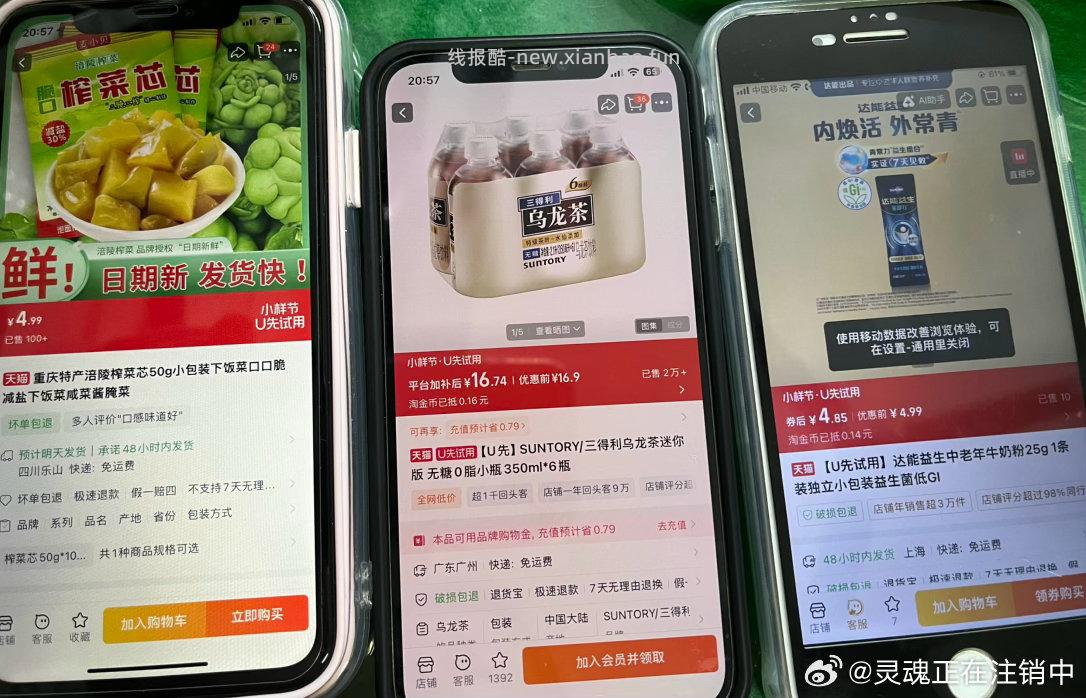 美食试吃现在有4个黄天鹅鸡蛋 试试看 - 线报酷