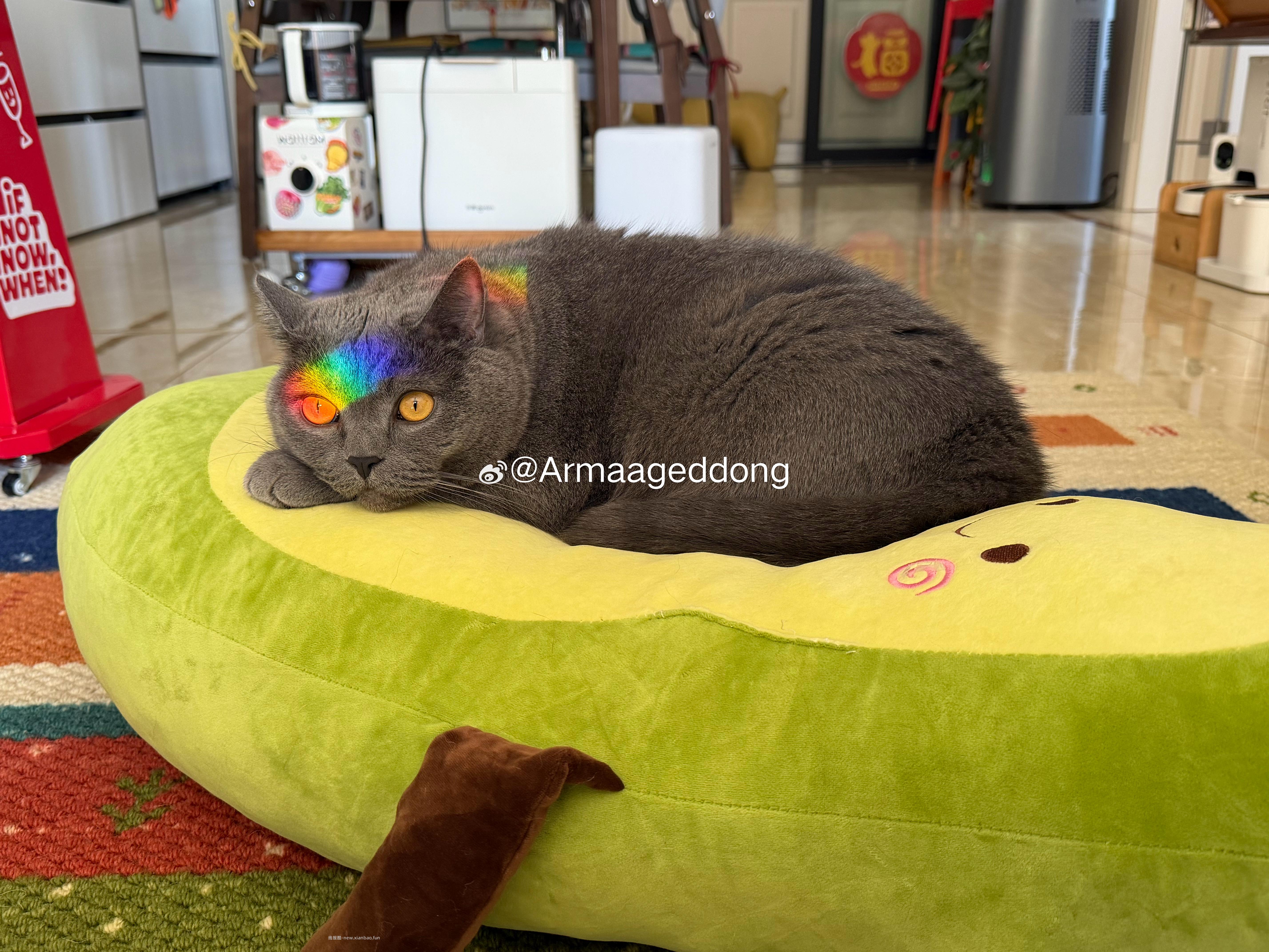 🤗壁纸/美图/照片 分享贴 ☘️评论分享好看的图片 - 线报酷