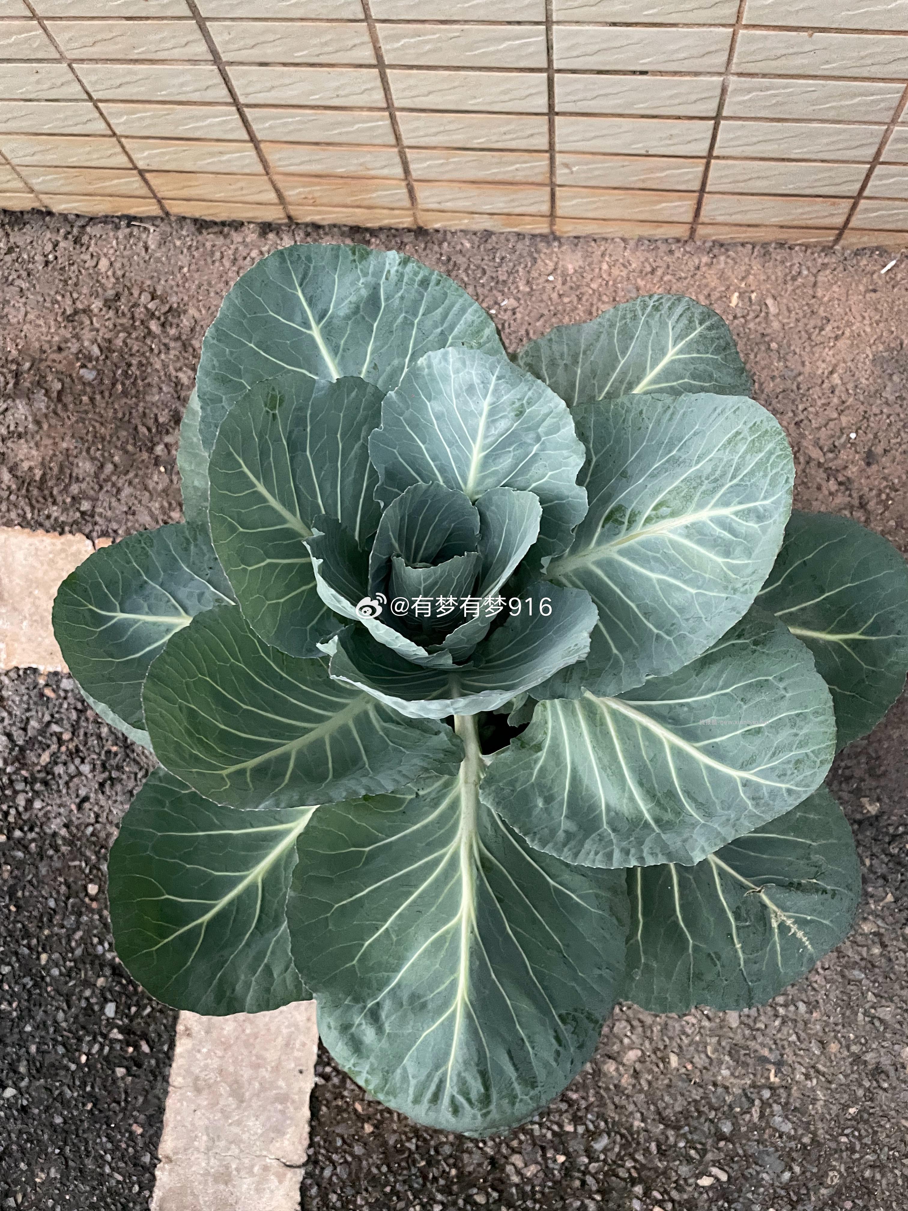 闲聊谈心贴 纯聊天 推广/拉群/转让/拼团/互助互点 不要进哦 - 线报酷