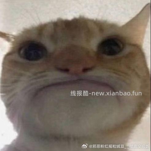 闲聊问答求推荐求zhu来这里 禁恋爱纠纷和线上问诊 2026.4.19号 - 线报酷