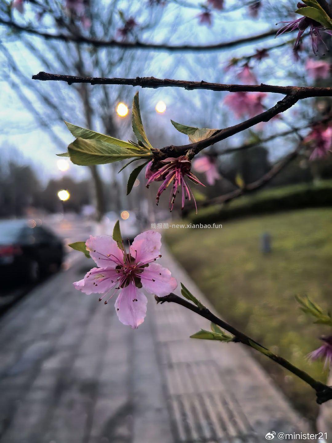 🤗壁纸/美图/照片 分享贴 ☘️评论分享好看的图片 - 线报酷
