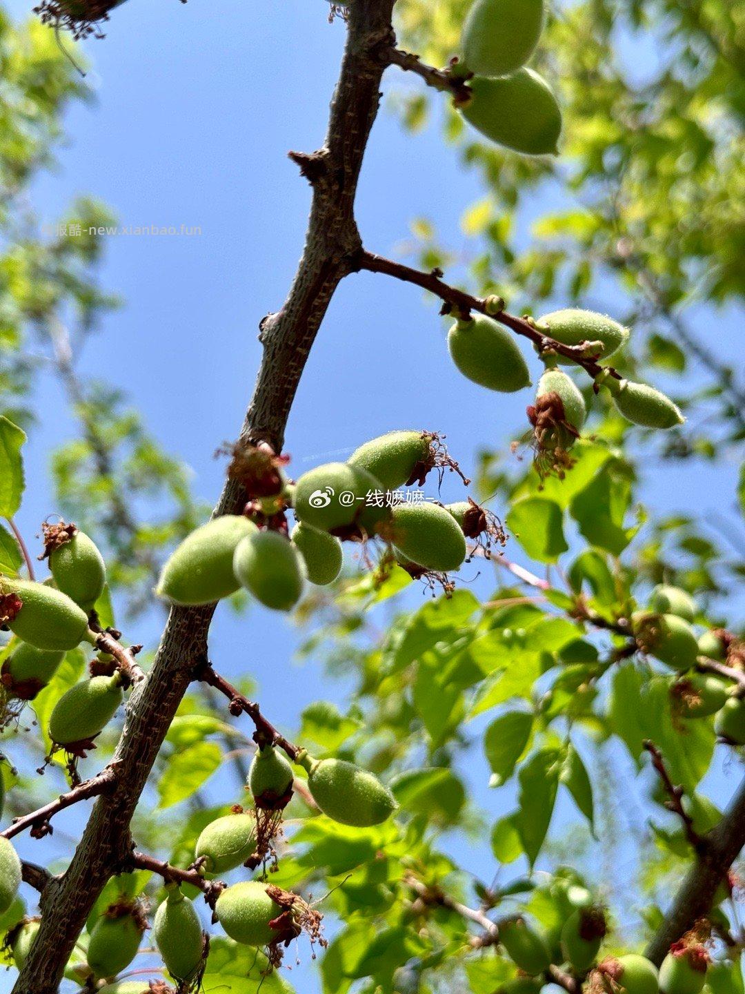 🤗壁纸/美图/照片 分享贴 ☘️评论分享好看的图片 - 线报酷