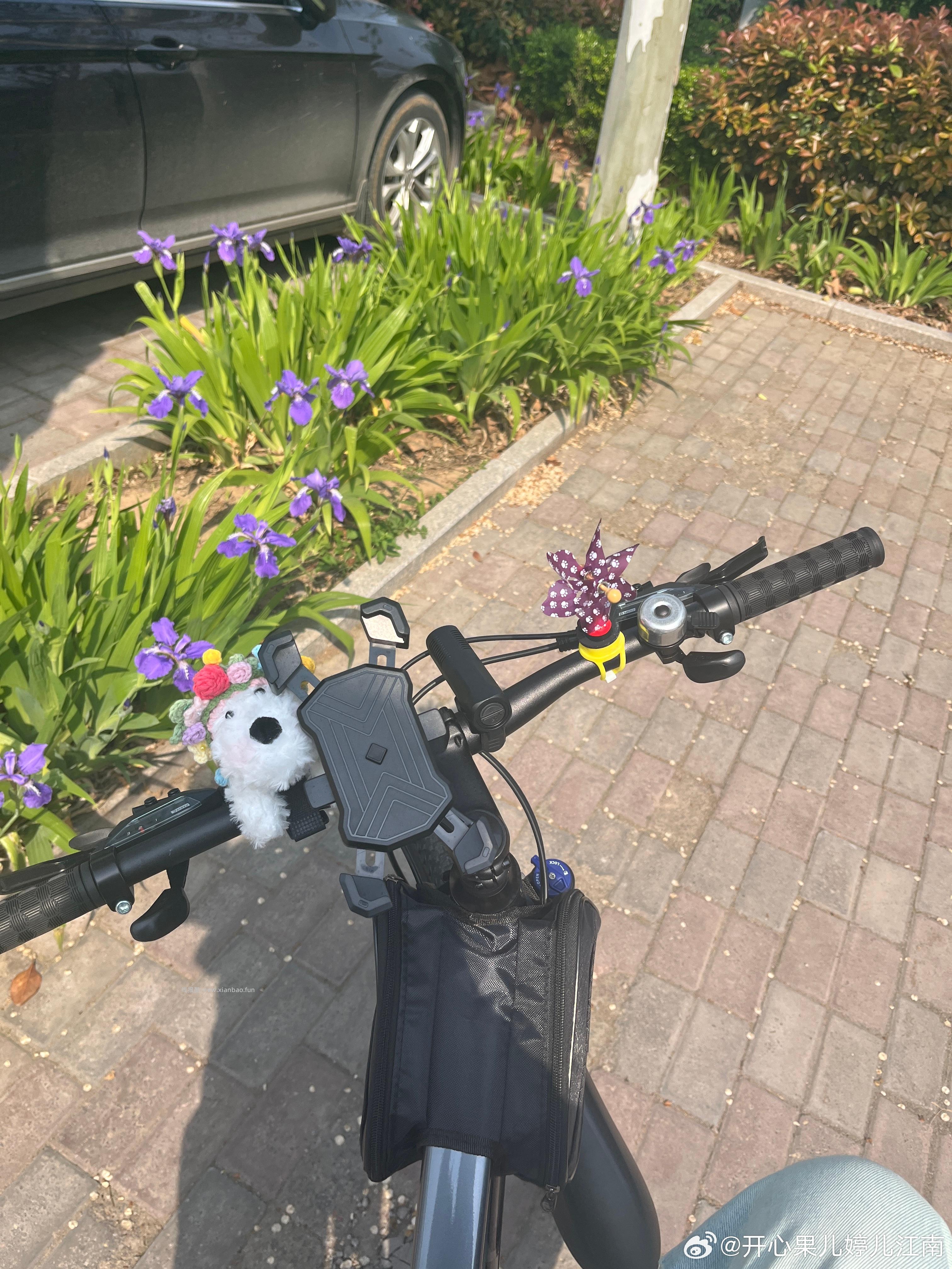 追剧贴 大家最近追啥剧呀 写作业 写作业 浪姐看了不 你们支持谁 - 线报酷