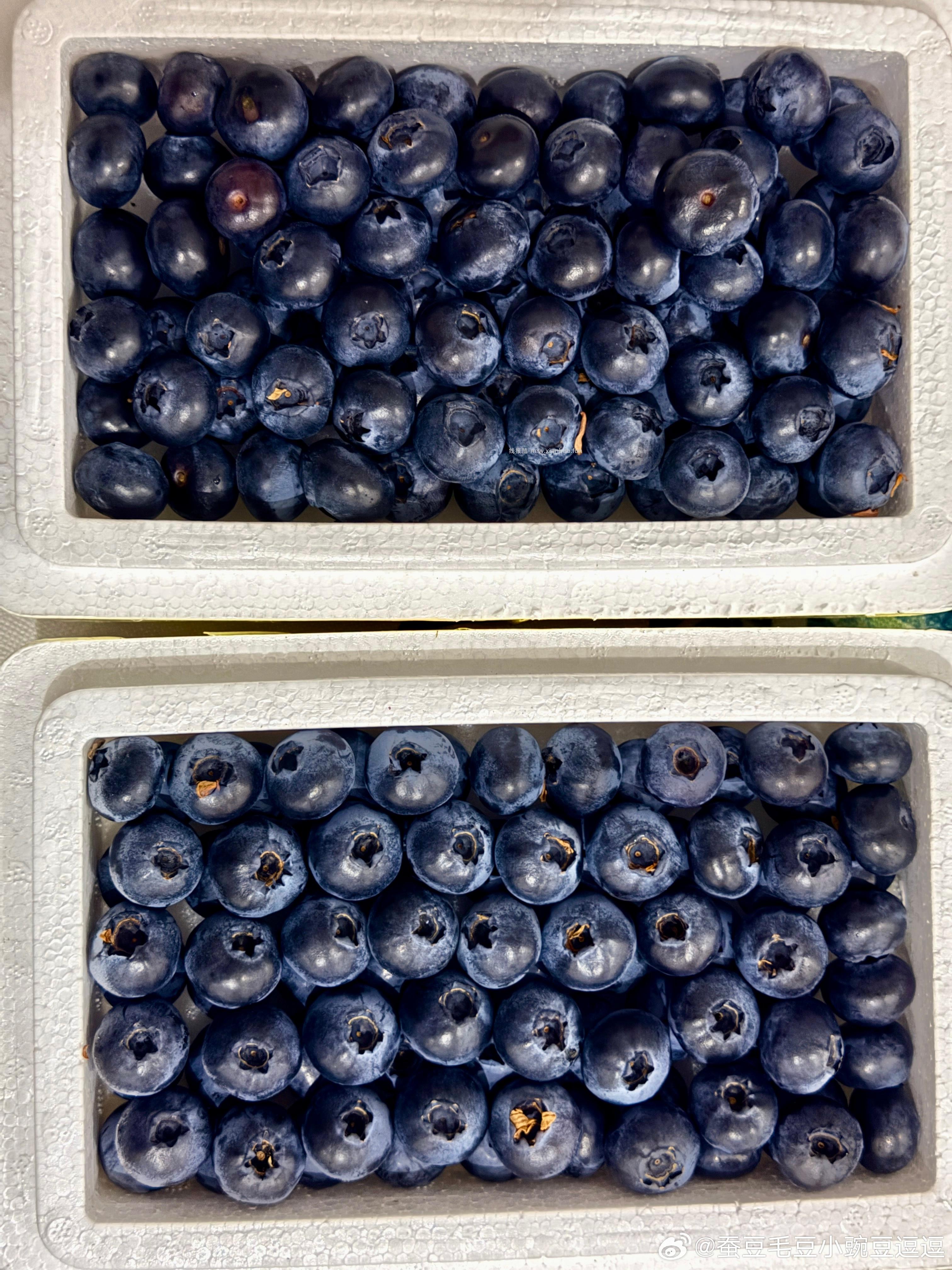 🫐 60-36pz jf fl ​​​ - 线报酷