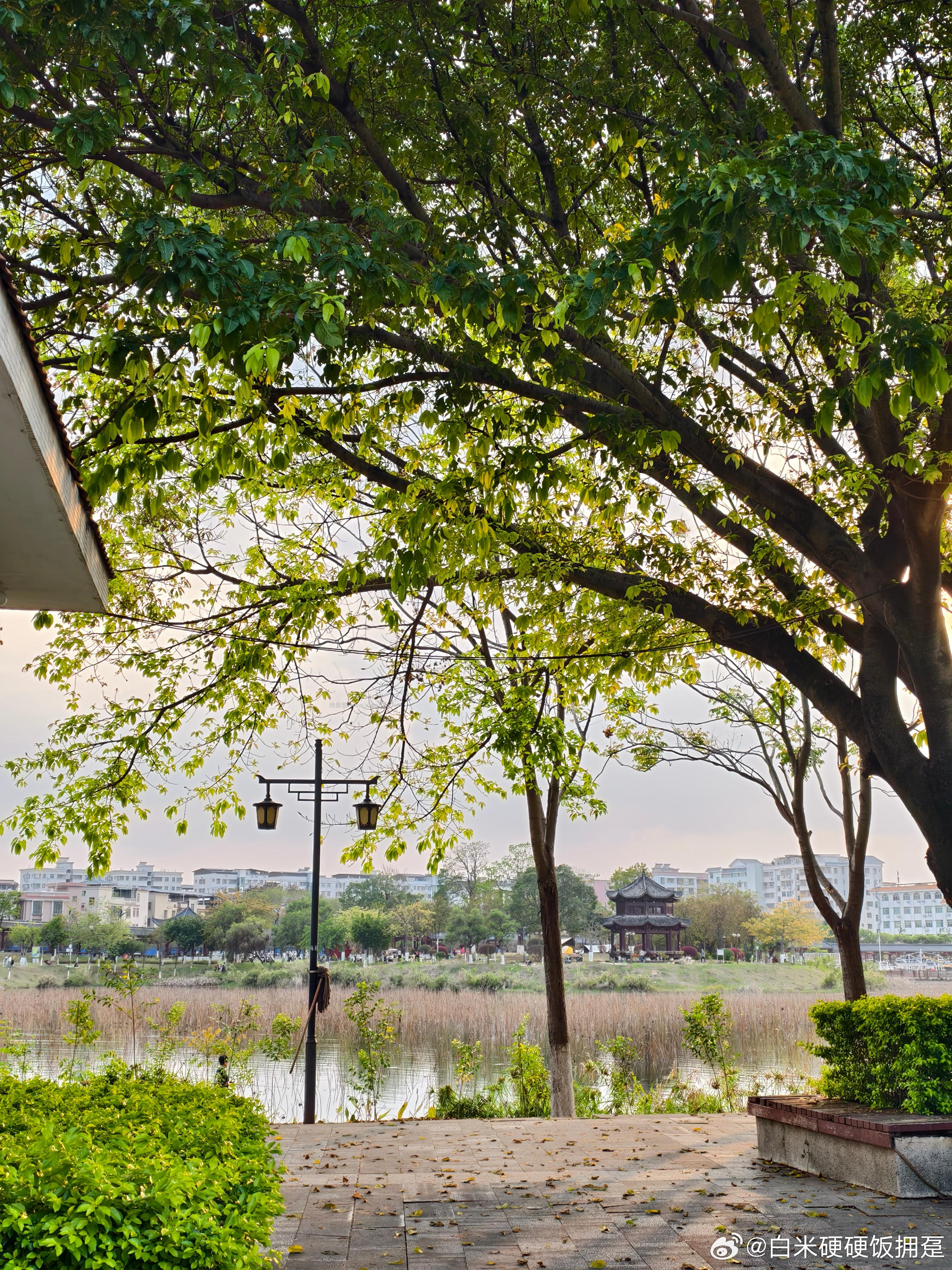 🤗壁纸/美图/照片 分享贴 ☘️评论分享好看的图片 - 线报酷