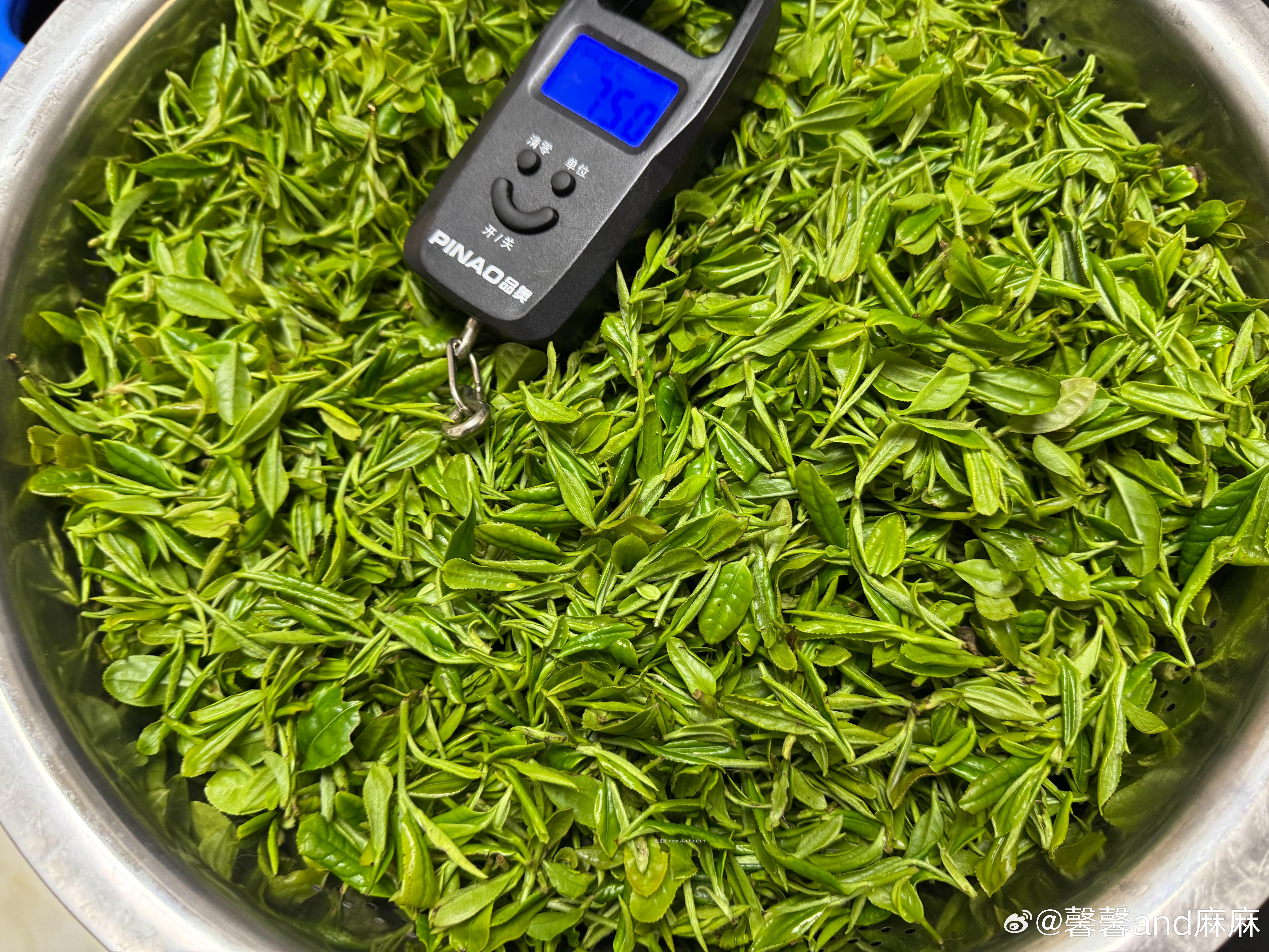 徽六舒城小兰花茶雨前特二级绿茶50g*1罐 29元 - 线报酷