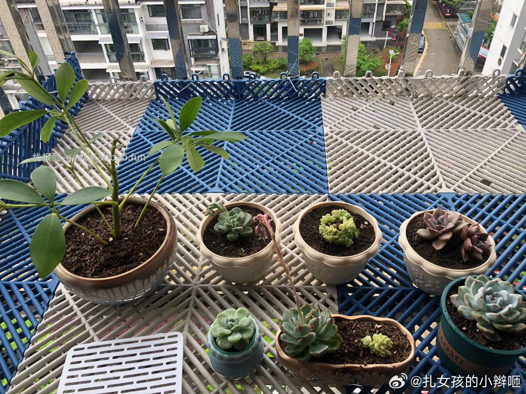 zfb蚂蚁森林签20天领绿植 zfb-我的-zfb荟员 右侧 每日签到 - 线报酷