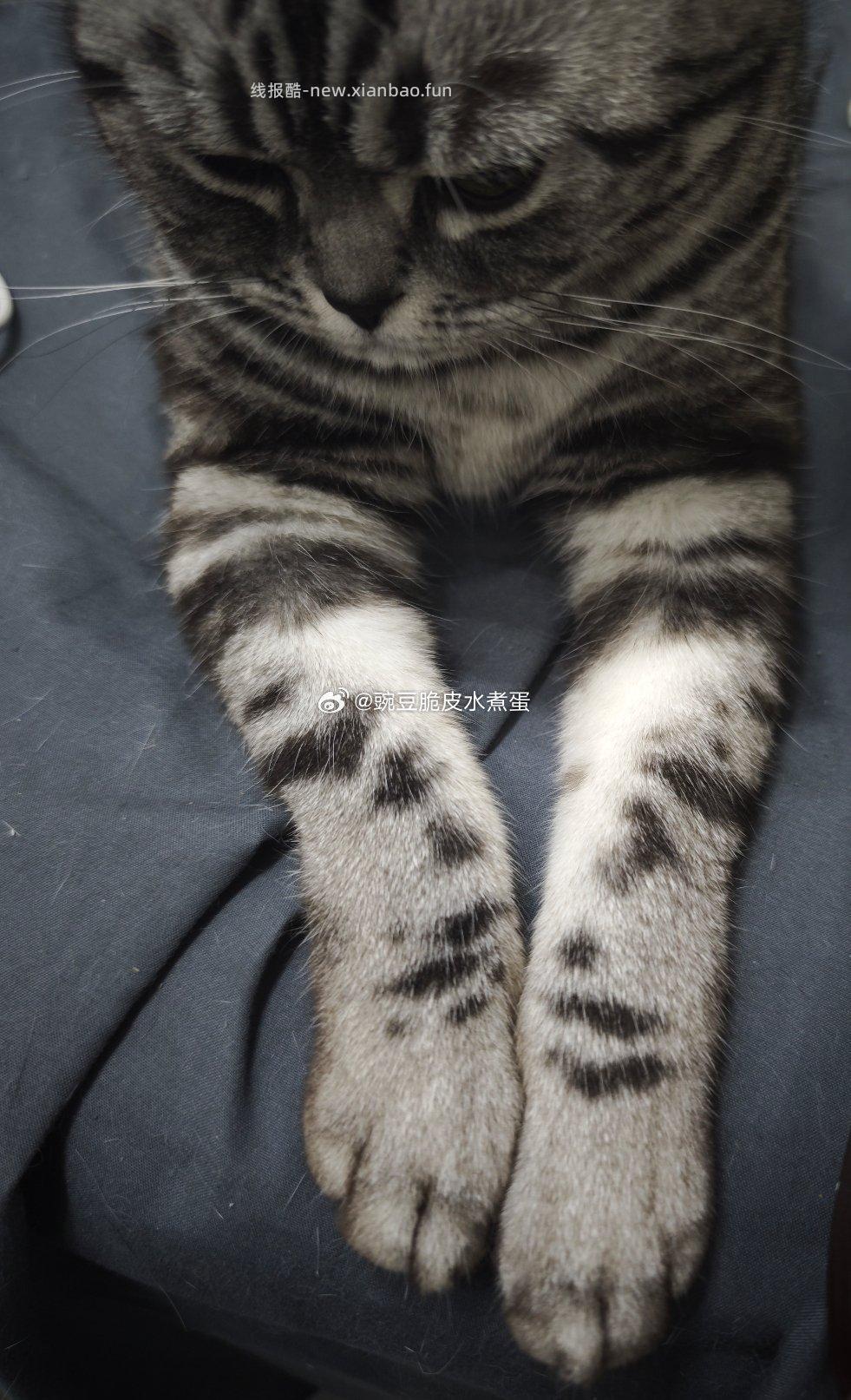 闲聊问答求推荐求zhu来这里 禁恋爱纠纷和线上问诊 2026.4.15号 - 线报酷