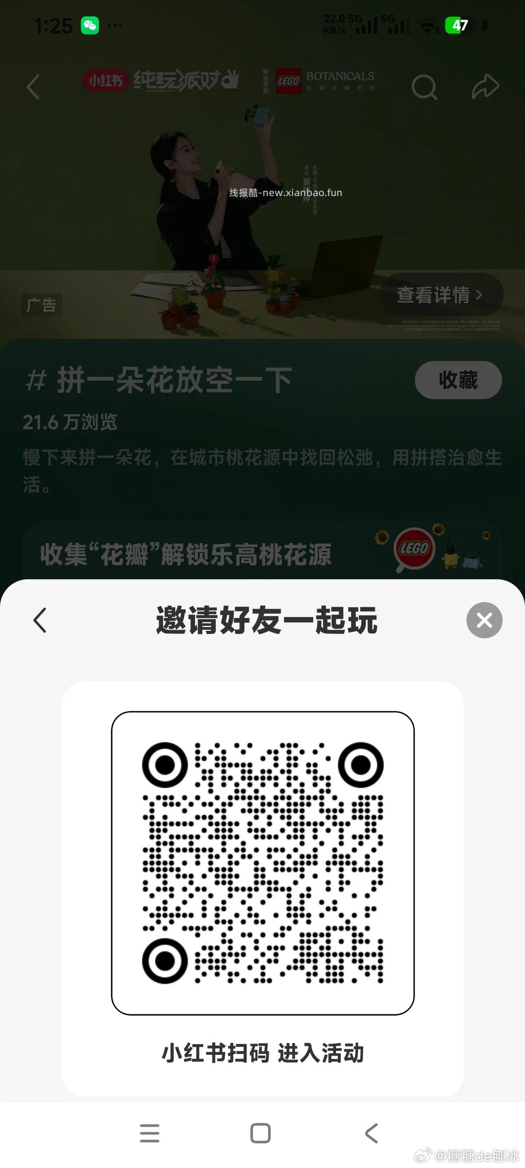小红书 搜 拼一朵花放空一下 横幅下方 立即查看 进去做任务得5无门槛券 - 线报酷