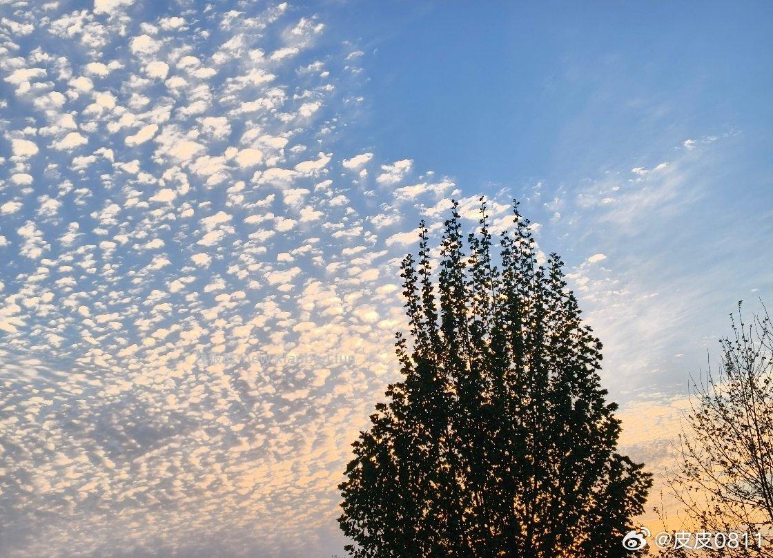 🤗壁纸/美图/照片 分享贴 ☘️评论分享好看的图片 - 线报酷