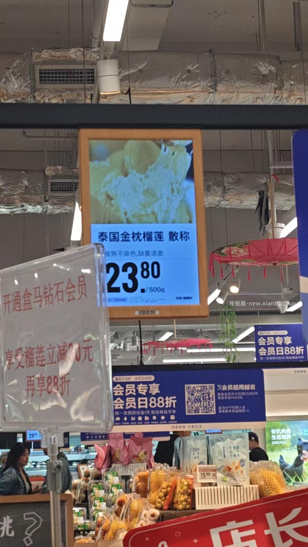 补了 今年还试吗 喵喵 - 线报酷