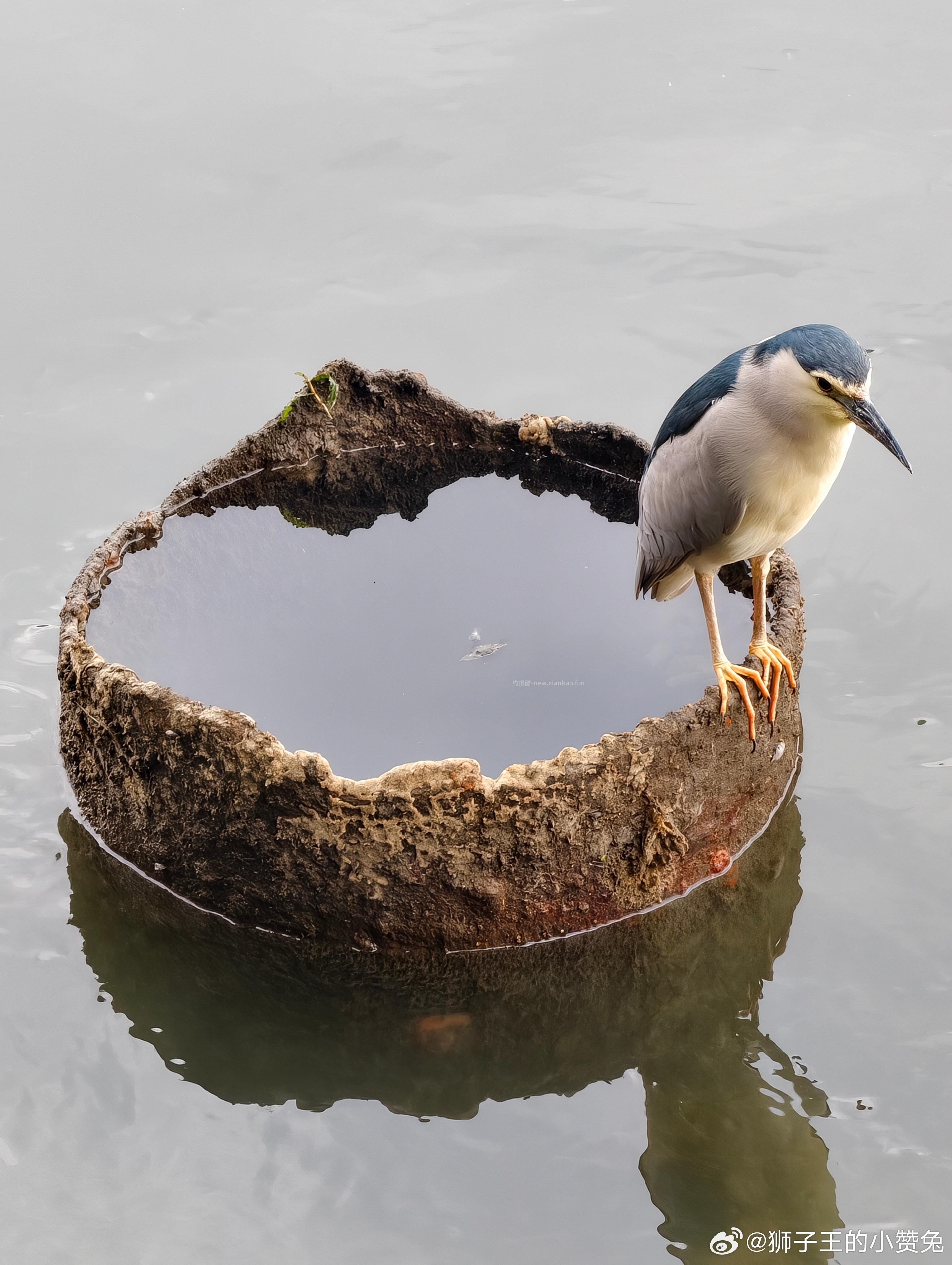 🤗壁纸/美图/照片 分享贴 ☘️评论分享好看的图片 - 线报酷
