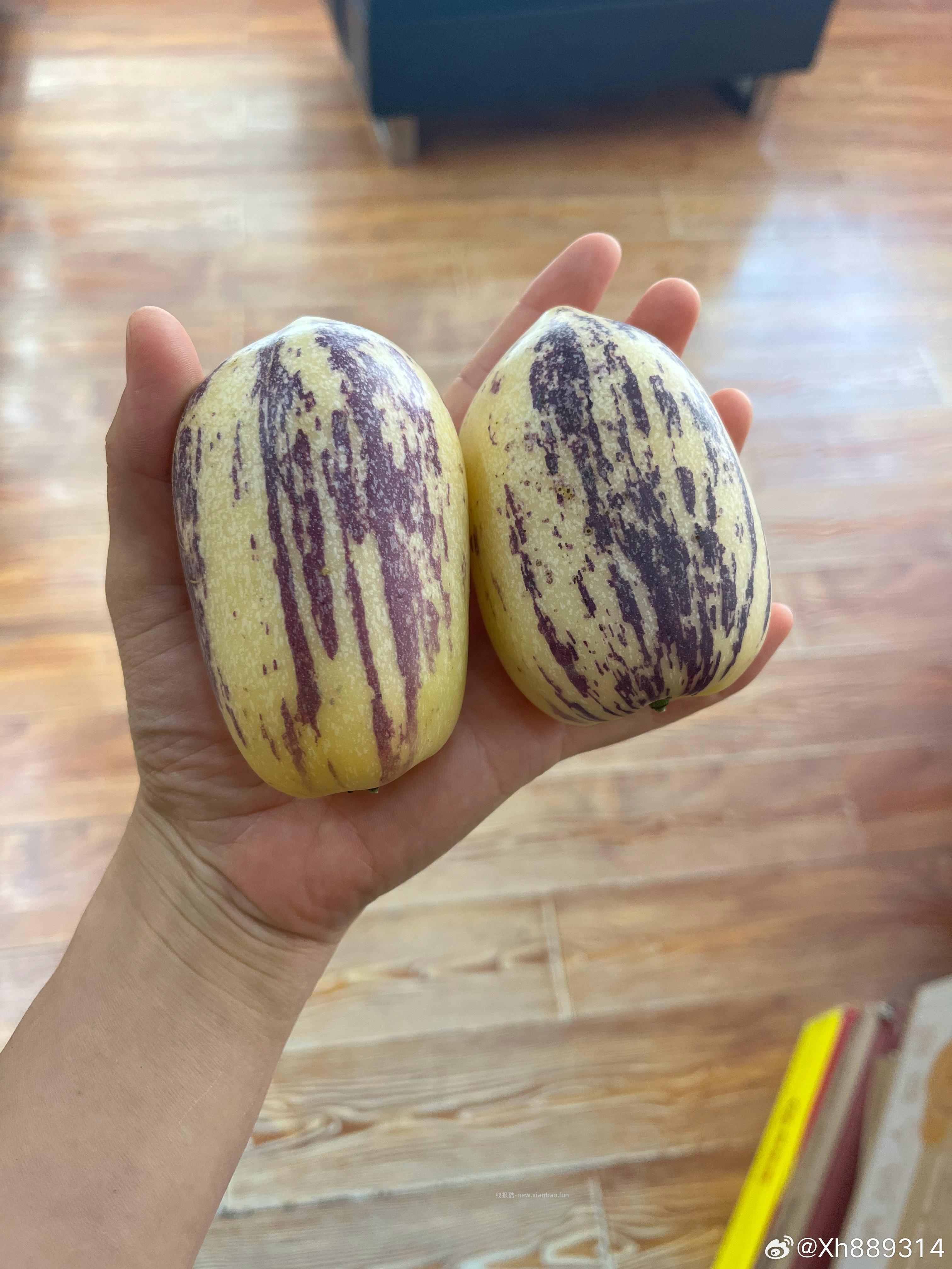 10-2全品券 山东普罗旺斯西红柿 净重4.5斤 单果115g+ 14.9 - 线报酷