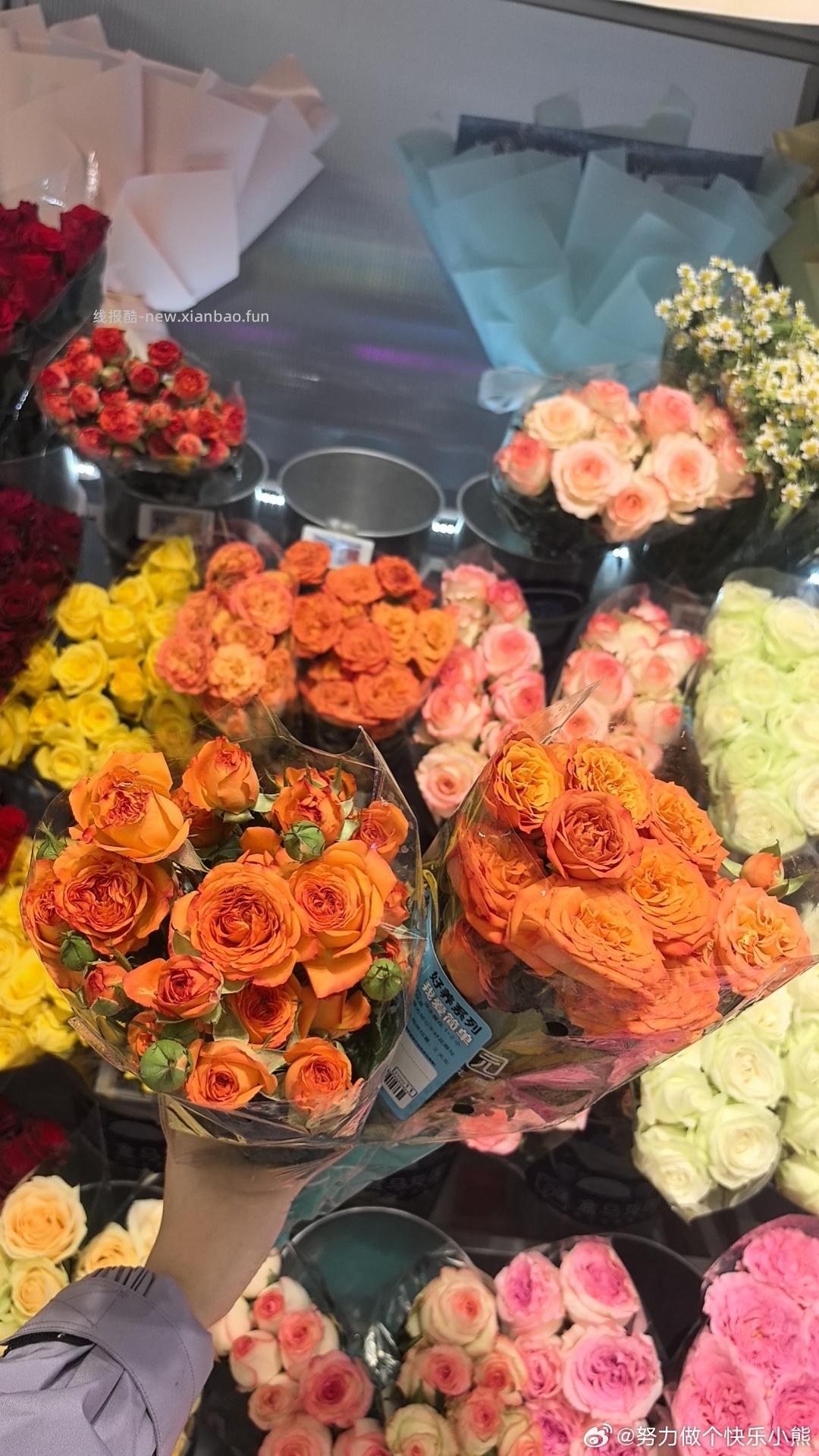 🐟搜春日好礼 有8.8 ​​​ - 线报酷