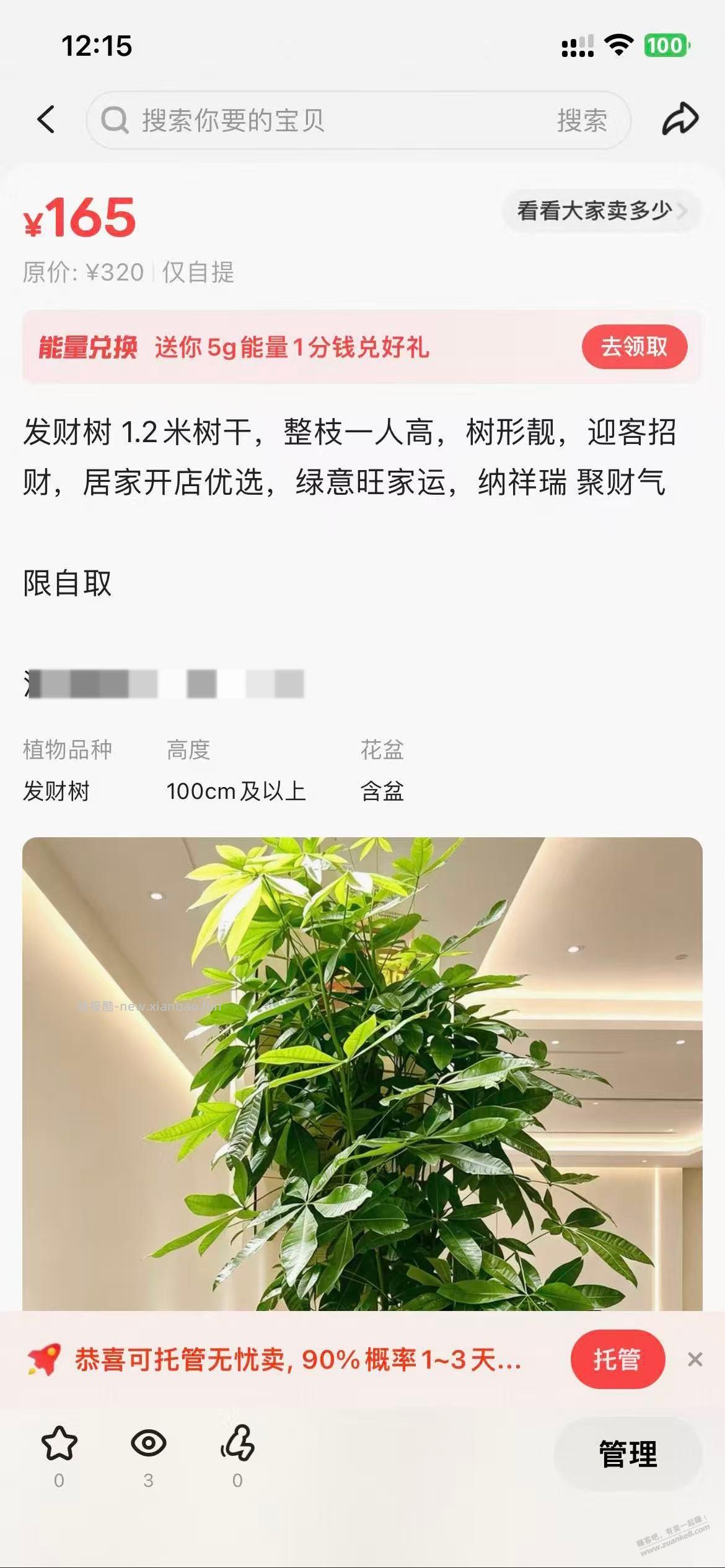 捡了一棵树,卖了120元,赚钱真的需要路子野 - 线报酷 捡了一棵树,卖了120元,赚钱真的需要路子野 - 线报酷