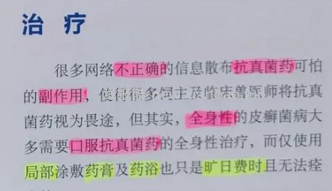 讨论/【科普】激情安利伊曲康唑治疗猫癣！！伊曲康唑真的伤肝吗？辟谣！！！ - 线报酷