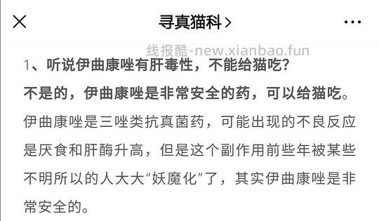 讨论/【科普】激情安利伊曲康唑治疗猫癣！！伊曲康唑真的伤肝吗？辟谣！！！ - 线报酷