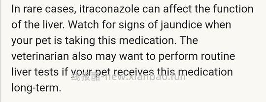 讨论/【科普】激情安利伊曲康唑治疗猫癣！！伊曲康唑真的伤肝吗？辟谣！！！ - 线报酷