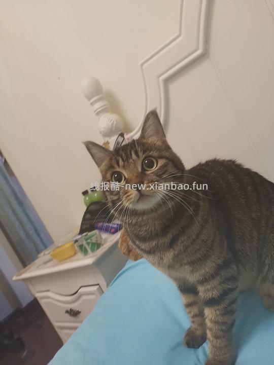 讨论/【科普】军训图及我的军训历程 - 线报酷