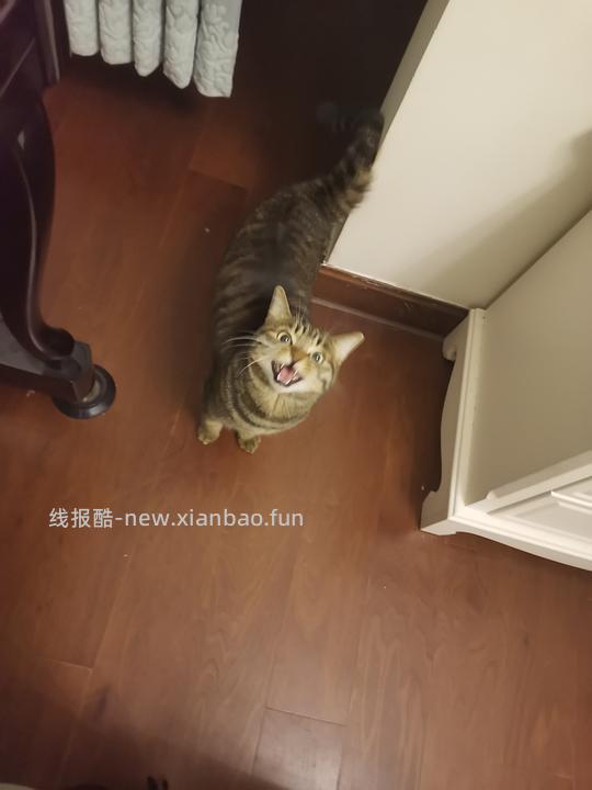 讨论/【科普】军训图及我的军训历程 - 线报酷