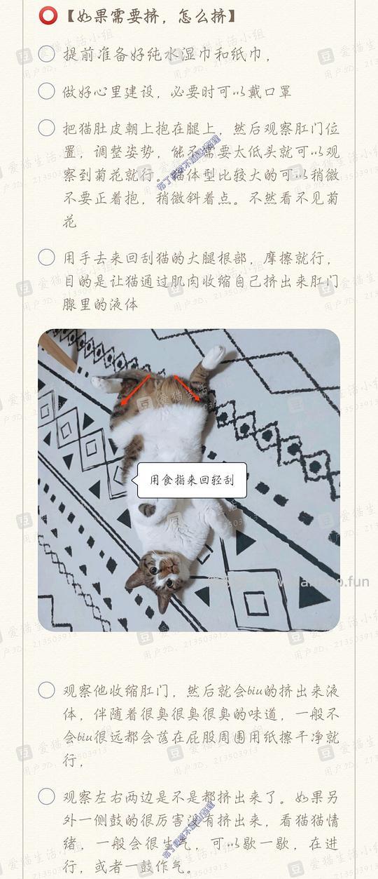 讨论/【科普】养猫基本小知识 - 线报酷