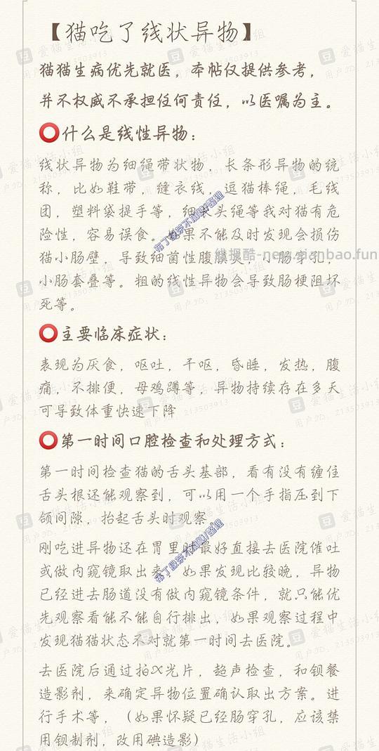 讨论/【科普】养猫基本小知识 - 线报酷