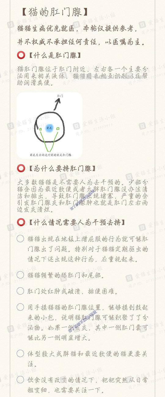 讨论/【科普】养猫基本小知识 - 线报酷