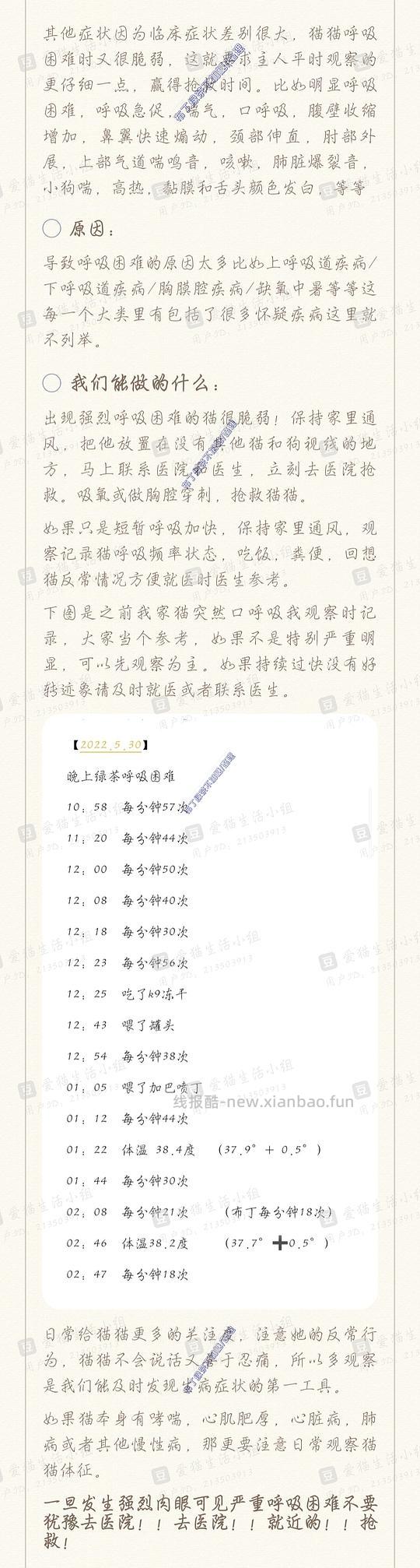 讨论/【科普】养猫基本小知识 - 线报酷