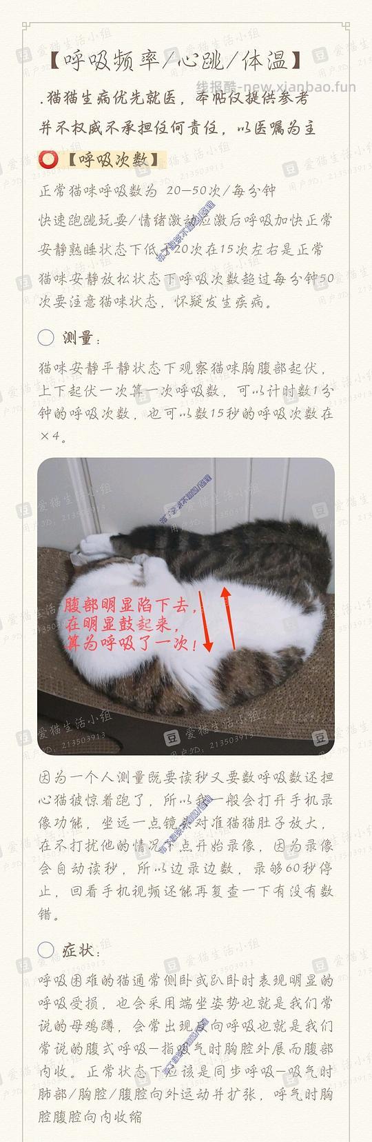 讨论/【科普】养猫基本小知识 - 线报酷