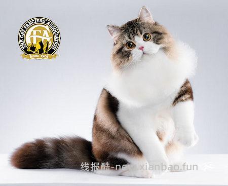 讨论/【科普】关于折耳的谣言粉碎机 - 线报酷