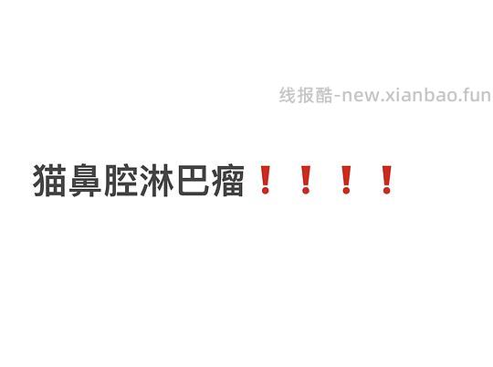 【科普】我如何发现小猫得了隐匿的鼻腔恶性肿瘤？重视“流鼻涕”！ - 线报酷