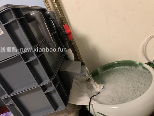 讨论/【科普】或许有uu想了解怎么安装一个基本不用打理的鱼缸吗（小猫电视） - 线报酷