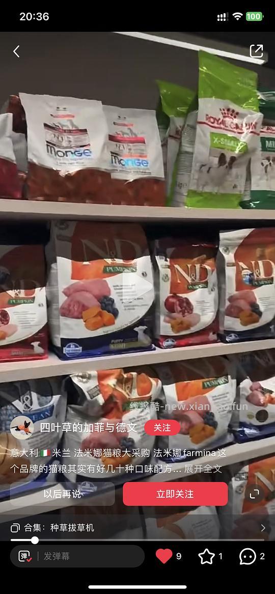 讨论/【科普】关于意大利梦吉猫粮（2024.10.20更新在主贴） - 线报酷