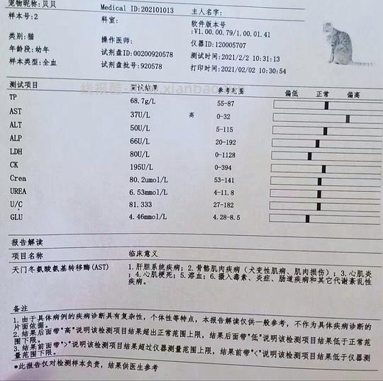 讨论/【科普】一只猫肝门静脉短路和肝性脑病的养护经验 - 线报酷