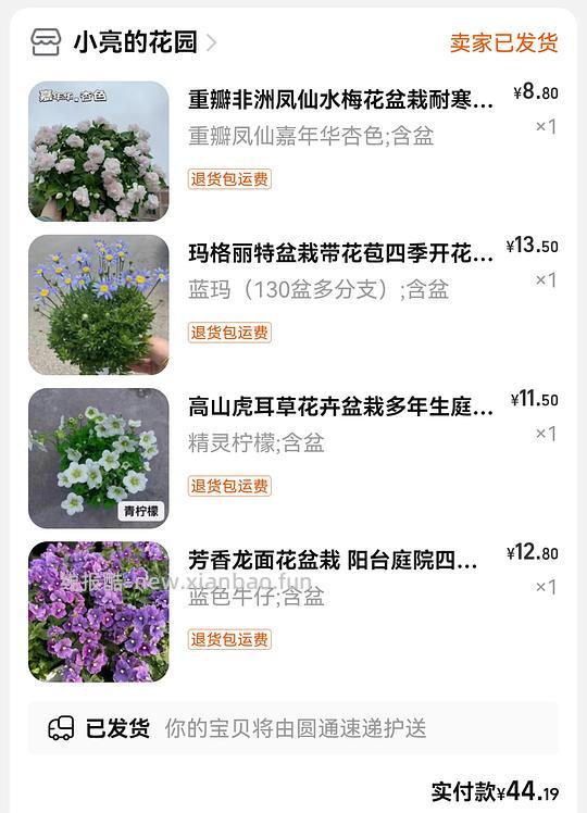 抠门园艺分享第四弹 - 线报酷