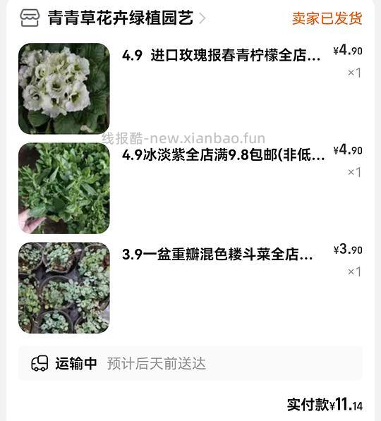 抠门园艺分享第四弹 - 线报酷