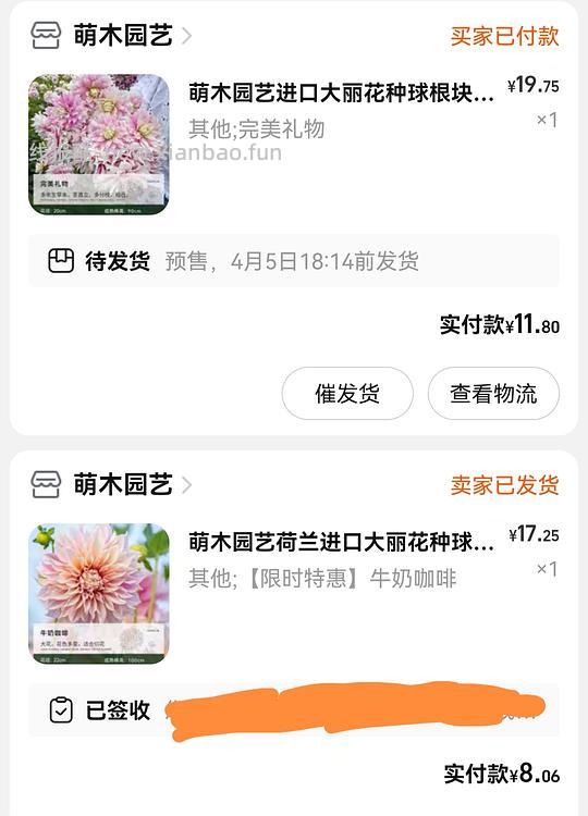 抠门园艺分享第四弹 - 线报酷