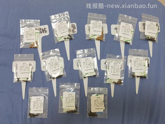 抠门园艺分享第四弹 - 线报酷