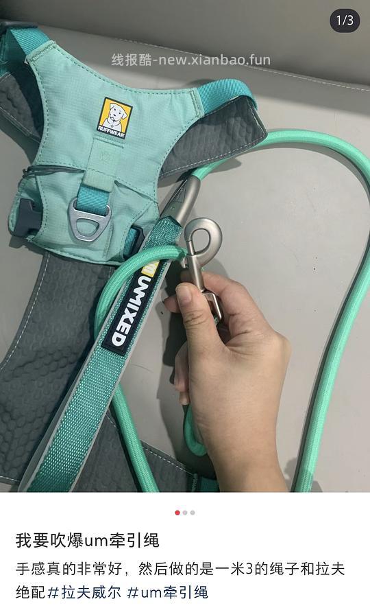 【车走】平价貌美牵引绳 - 线报酷