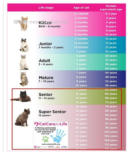 【科普】[养猫笔记06] 如何让中老年猫尽量健康的老去（Healthy aging）：养护指南要点总结 - 线报酷