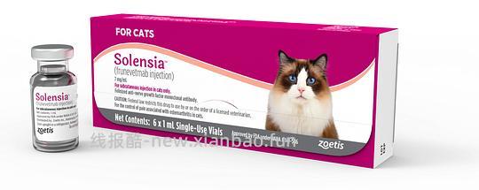 【科普】[养猫笔记06] 如何让中老年猫尽量健康的老去（Healthy aging）：养护指南要点总结 - 线报酷