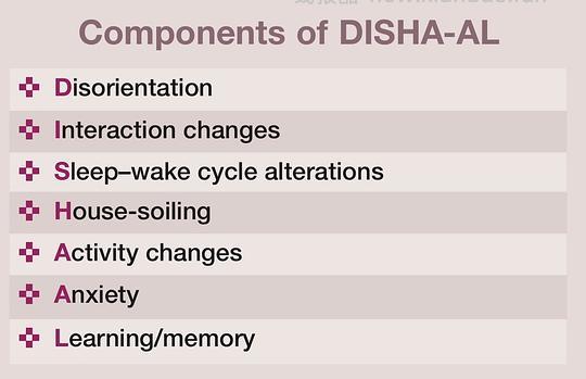 【科普】[养猫笔记06] 如何让中老年猫尽量健康的老去（Healthy aging）：养护指南要点总结 - 线报酷