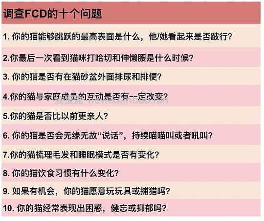 【科普】[养猫笔记06] 如何让中老年猫尽量健康的老去（Healthy aging）：养护指南要点总结 - 线报酷