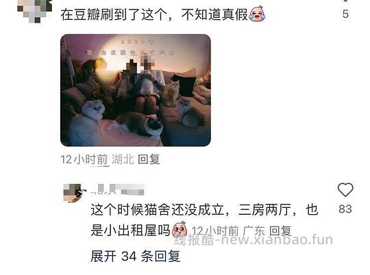 讨论/【科普】‼️‼️让我来告诉你们什么才是后院‼️住别墅的猫怎么能算后院‼️ - 线报酷