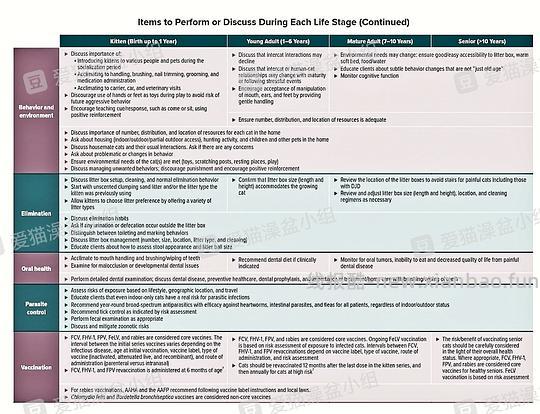 【科普】猫咪一生的喂养需求（搬运整理） - 线报酷