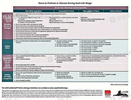 【科普】猫咪一生的喂养需求（搬运整理） - 线报酷